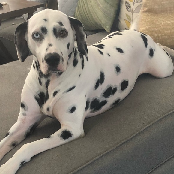 Meet your Posher, Justinjustin - Picture 1 of 1